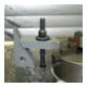 AMF Crampon plaqueur 20 mm