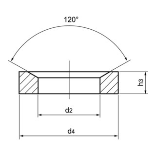 AMF Kegelpfanne DIN 6319 D