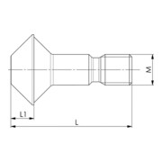 AMF Kombispanner Nr.6860 Gr.3 verz.-2