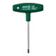 Andreas Maier Tournevis TX 907QT 10 x 100 mm