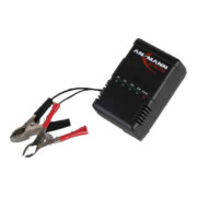 ANSMANN Chargeur automatique ALCS 2-24 V pour batteries Pb