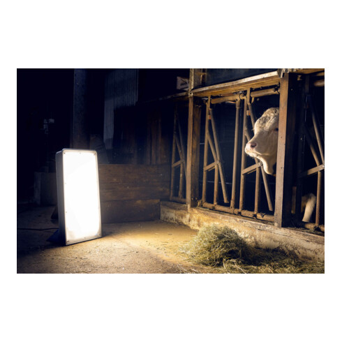 Ansmann GIANT-LED-EVO-225W