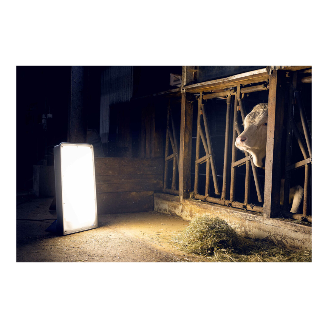 Ansmann GIANT-LED-EVO-225W