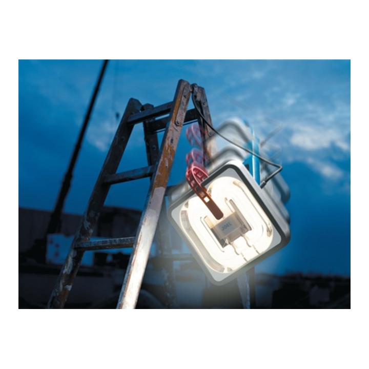 Arbeitsleuchte 230V Goliath 55W H07RN-F 2x1mm2 Kabel-L.5m