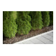 Arroseur à perles GARDENA, 7,5 m-2