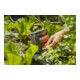 Arroseur carré AquaZoom compact GARDENA