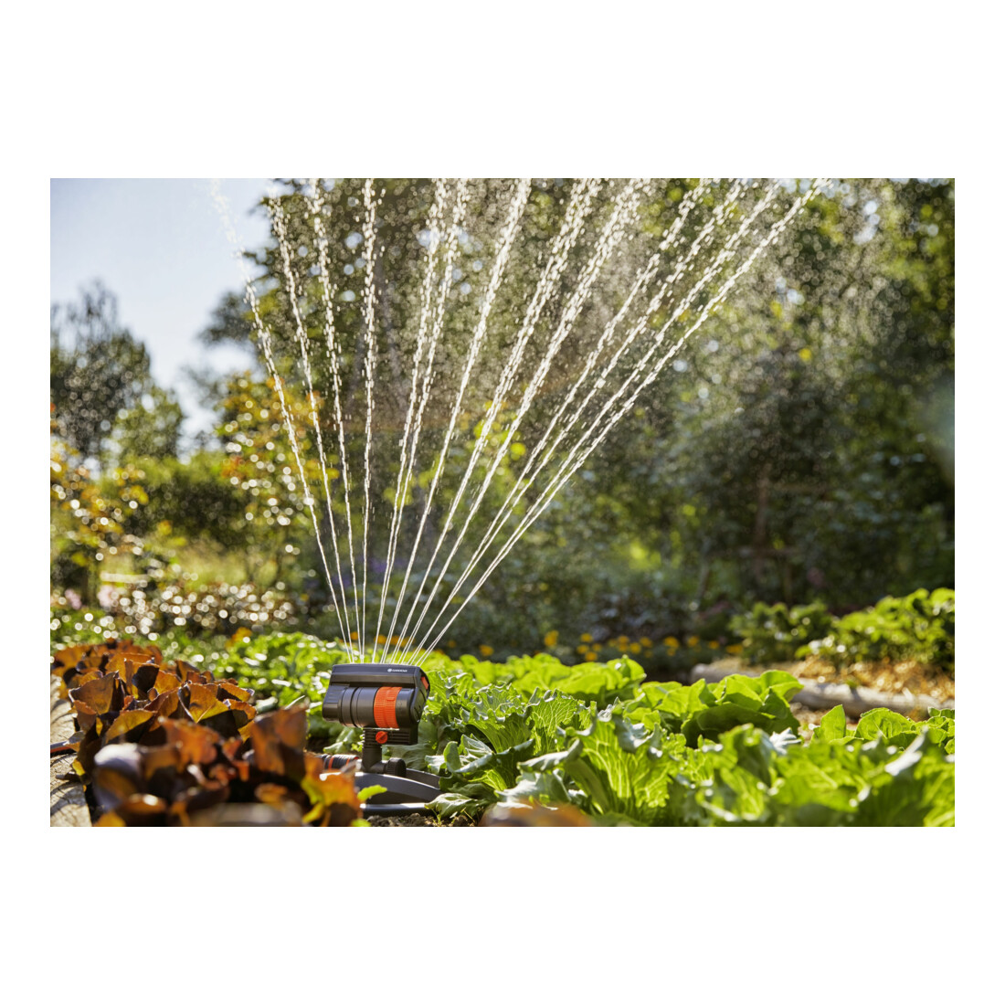 Arroseur carré AquaZoom compact GARDENA