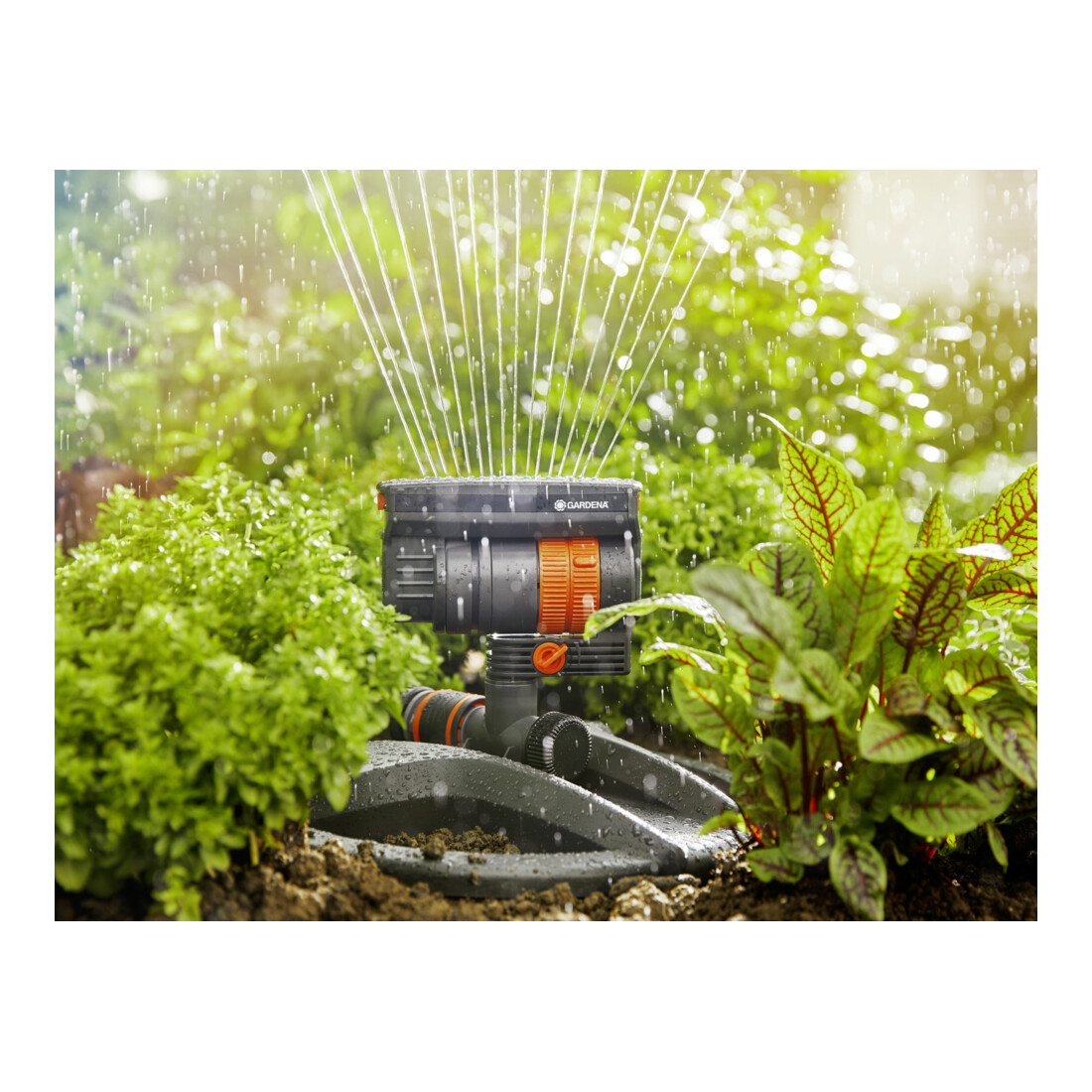 Arroseur carré AquaZoom compact GARDENA