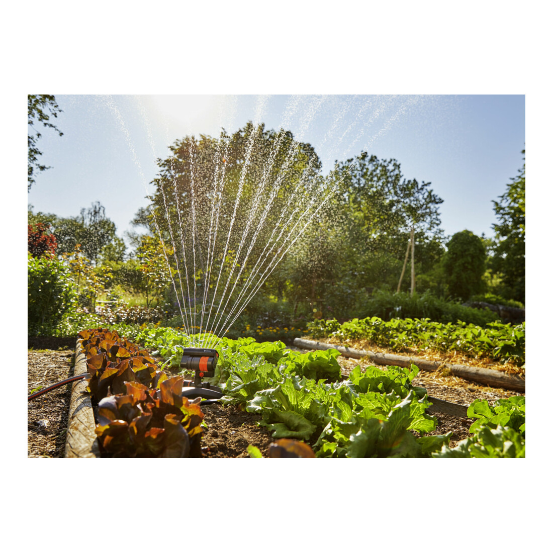 Arroseur carré AquaZoom compact GARDENA