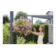 Arrosoir pour pots de fleurs Comfort GARDENA-5