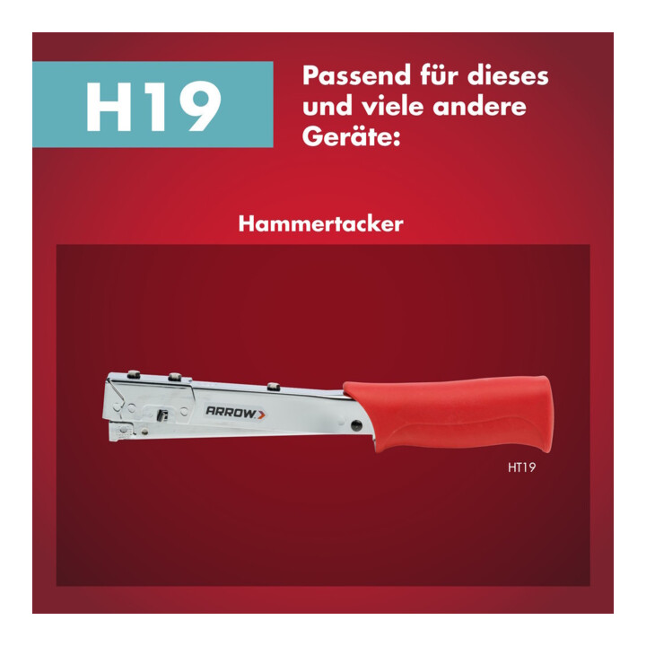 Arrow Fastener Agrafe fil fin H19 acier zingué