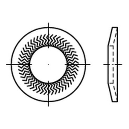 ART 88124 TECKENTRUP-Sperrkantscheiben C 60 flZnnc NSK-M 8 flZn S