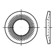 ART 88125 TECKENTRUP-Sperrkantscheiben C 60 flZnnc NSK-B 8 flZnnc S Federstahl