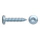 ART 89096 Spanplattenschrauben Hako CE St. 5 x 40 -T25 galvanisch verzinkt gal Zn S