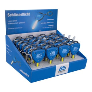 as - Schwabe ThekenDisplay LED-Schlüssellicht 24 St. 30 Lumen inkl. 2x CR2032 Batterie
