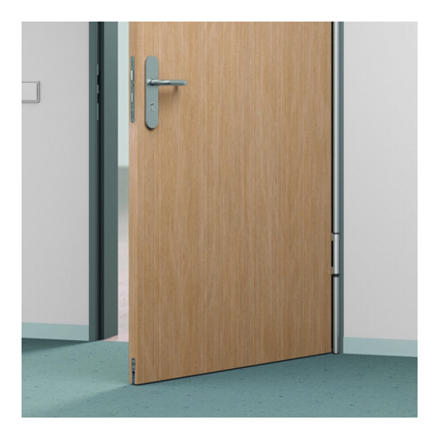 ASSA ABLOY Abdeckprofil FSA8800, S20, schwC35mat.el, 1980mm