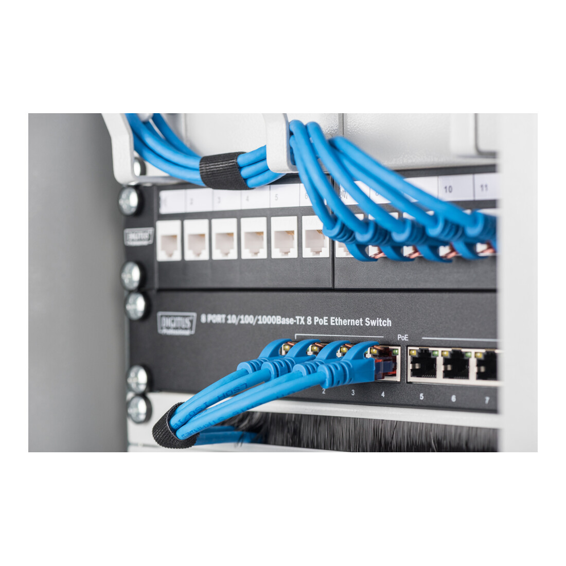 Assmann Electr. Patchpanel Modular 10 Zoll 1HE DN-91420