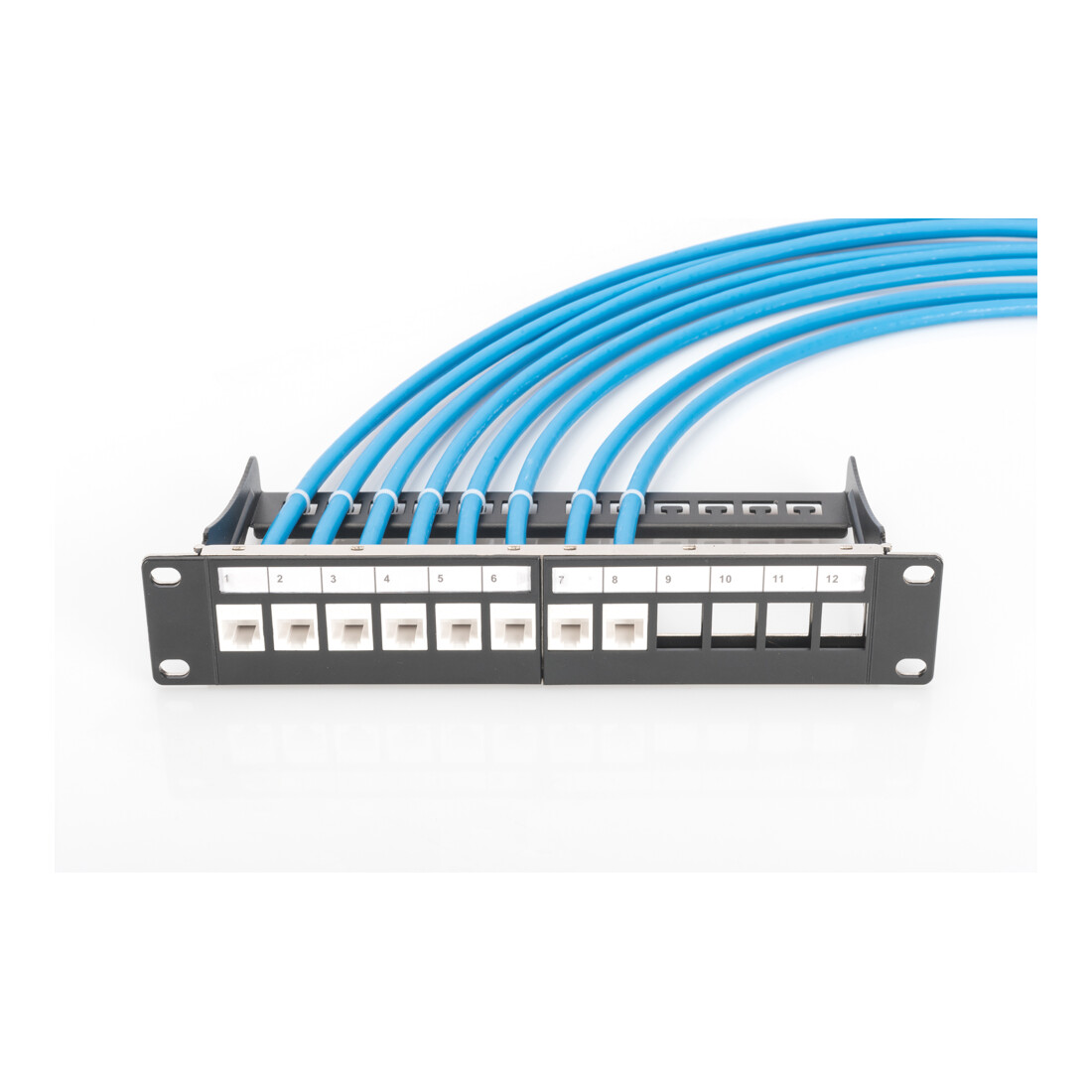 Assmann Electr. Patchpanel Modular 10 Zoll 1HE DN-91420