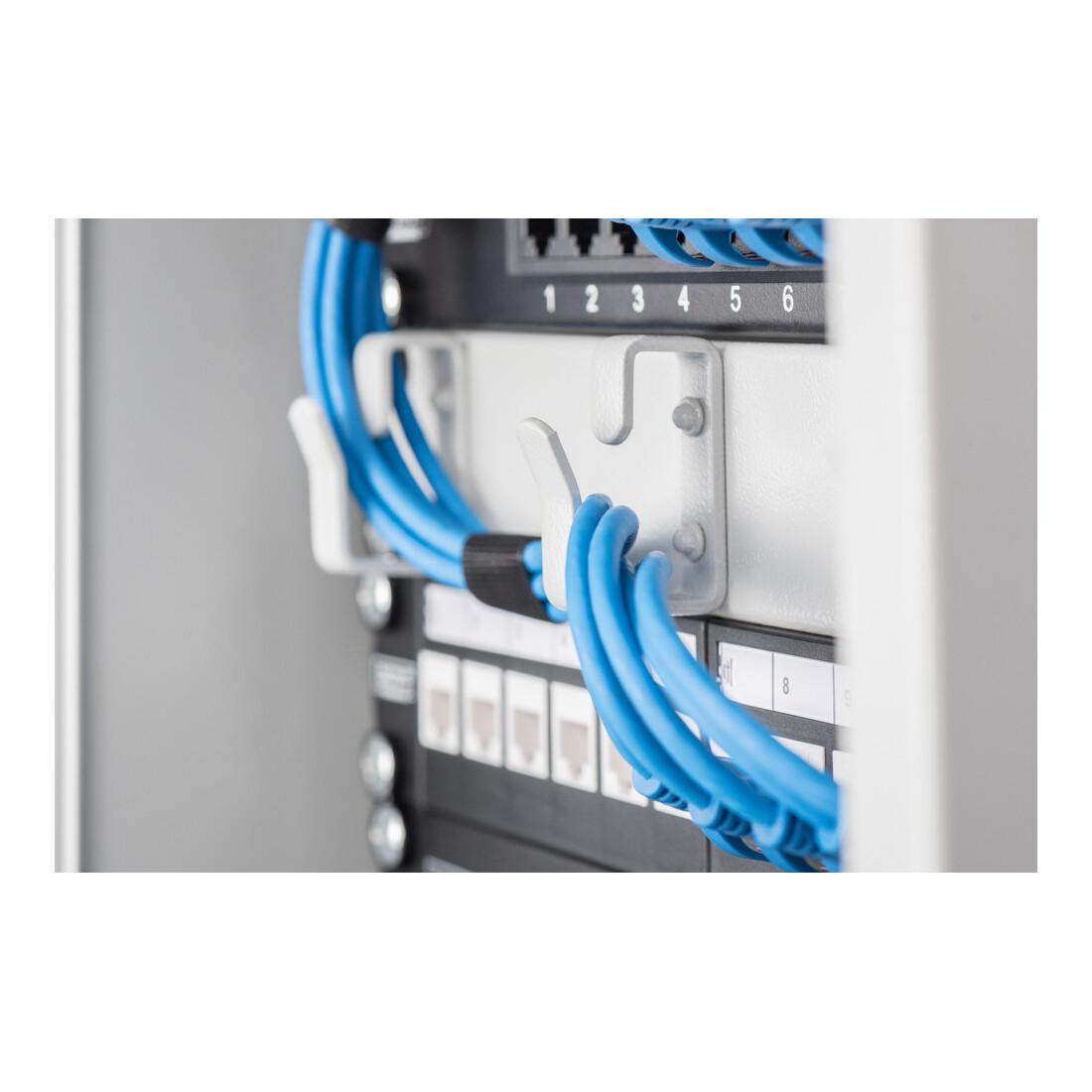Assmann Electr. Patchpanel Modular 10 Zoll 1HE DN-91420