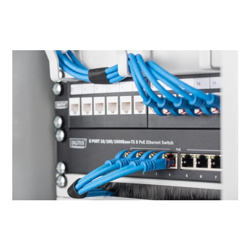 Assmann Electr. Patchpanel Modular 10 Zoll 1HE DN-91420