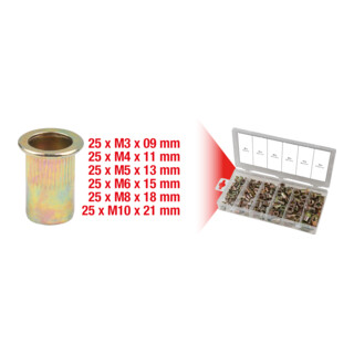 Assortiment de rivets filetes acier, M3x9mm-M10x21mm, 150 pcs.