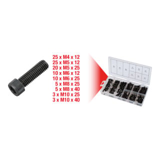 Assortiment de vis 6 pans métriques KS Tools, 106 pcs.