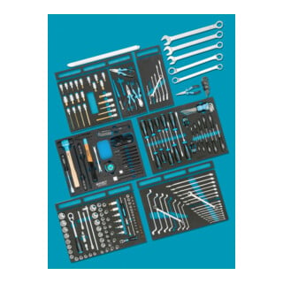 Assortiment d'outils standard pour AUDI 0-2500-163/214 HAZET