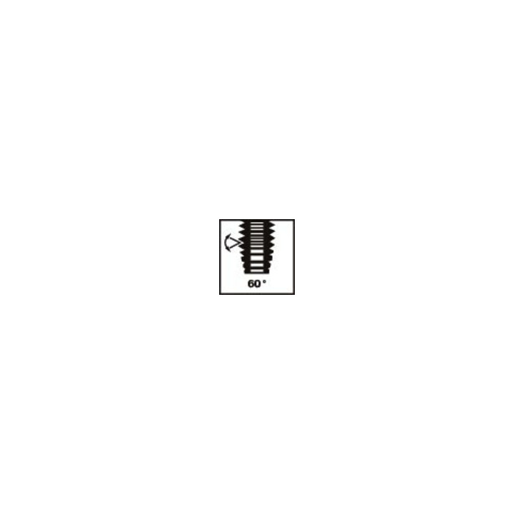 Assortiment tarauds pour machine RUKO HSS Co 5 forme C 35° 14 pièces