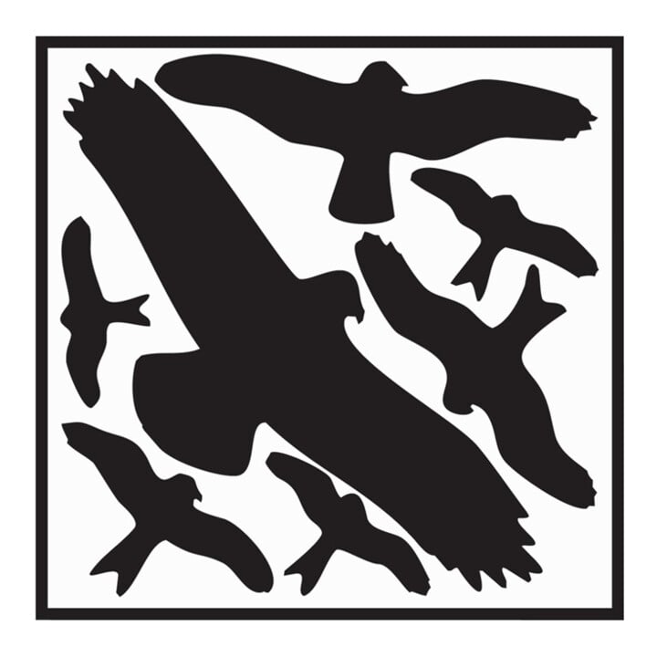 Aufkleber L290xB320 mm Vogelschutzset,Vogelsymbole Folie selbstkl.