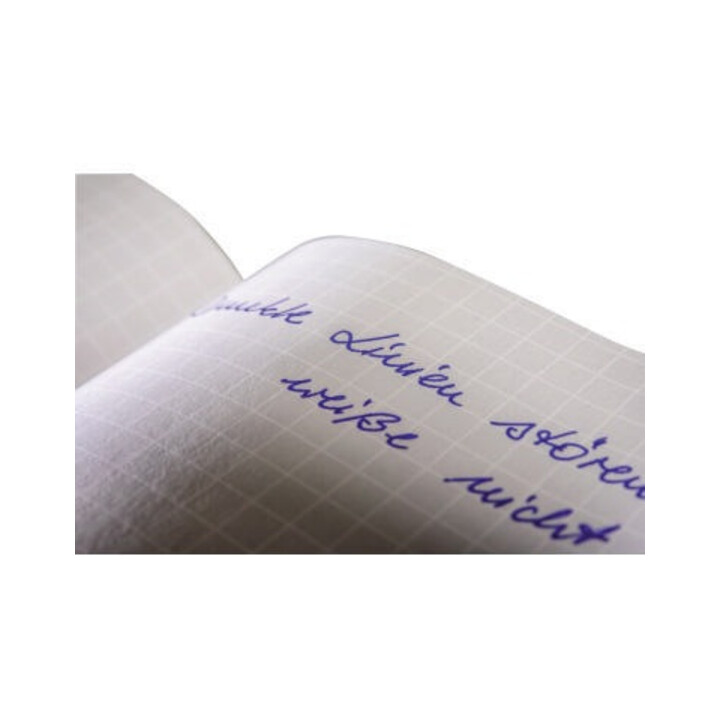 Avery Zweckform Notizbuch 7041 DIN A5 kariert blau 80 Bl.