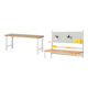 Set Rau Baukastenwerkbank, Arbeitsplatte Buche massiv 40 mm + System-Aufbau Komplettset 01-1