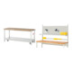 Set Rau Werkbank mit absenkbarem Fahrgestell + System-Aufbau Komplettset 01-1