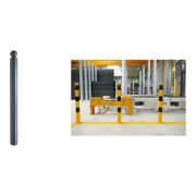 Set Schake Stilpoller Typ 484PB, ortsfest, Ø 82mm + Kugelkopf, beschichtet,...