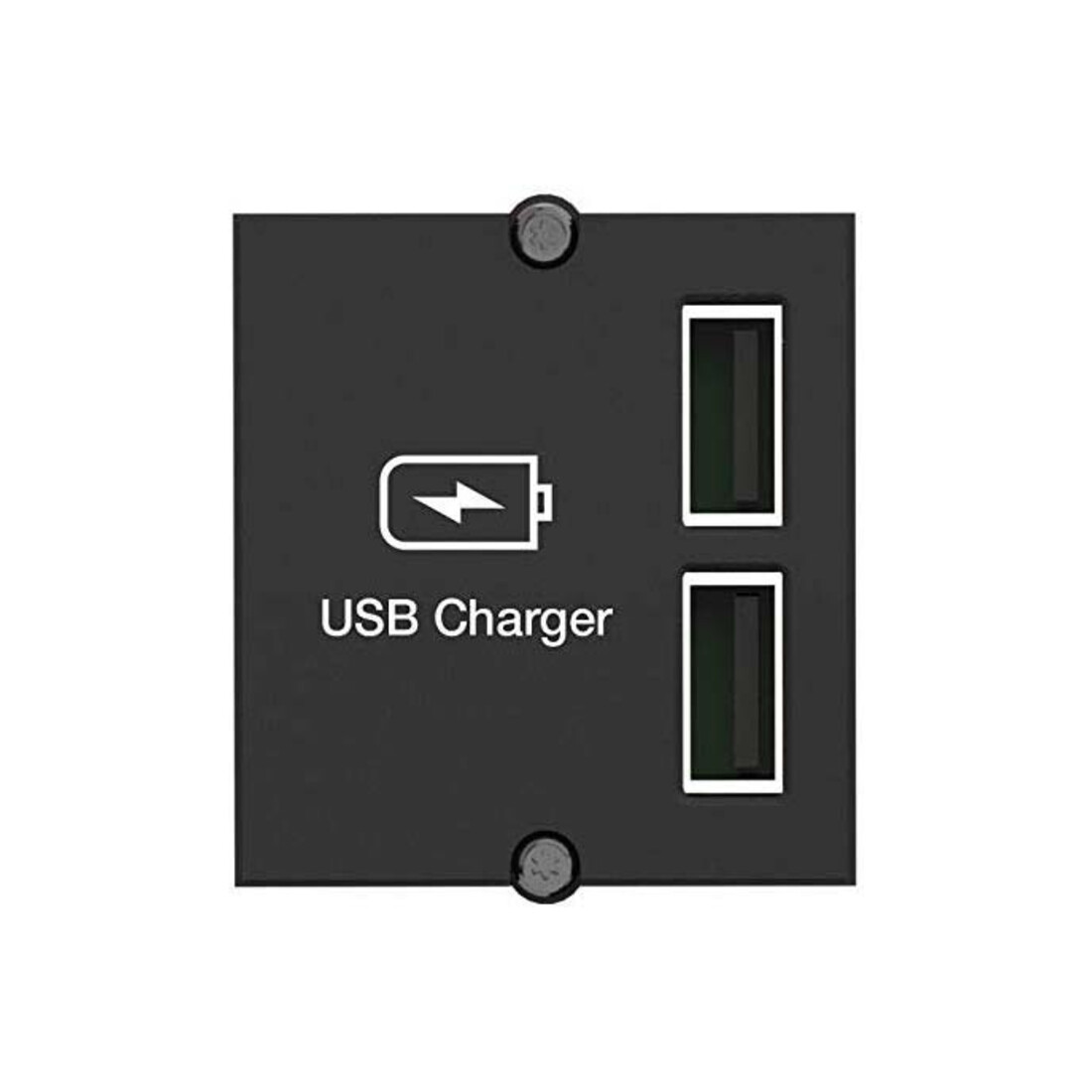 Bachmann Custom Module USB Doppel-Charger 917.224