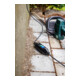 Bachmann Interrupteur différentiel 3600W,16A,250V,50Hz 919.189