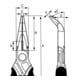 Bahco Pince bec de perroquet Ergo 200 mm chromée