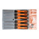 Bahco Set de limes 100 mm Hieb3 6 pièces ergo