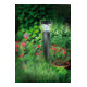 Balise de jardin LED solaire SOL FL 13007 IP44 avec détecteur de mouvement et capteur crépusculaire 13xLED 91lm Couleur Alu