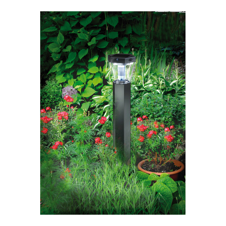 Balise de jardin LED solaire SOL FL 13007 IP44 avec détecteur de mouvement et capteur crépusculaire 13xLED 91lm Couleur Alu