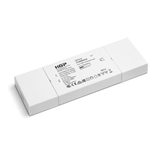 barthelme Alimentation CV 24V DC 36W IP20