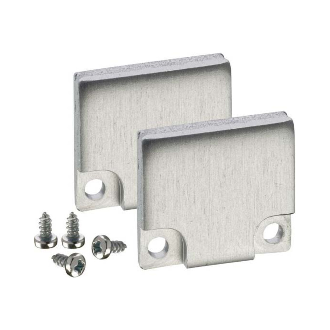 Barthelme Endkappen-Set Alu hoch für BARdolino Profil 62398613