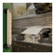 BAUER& BÖCKER LED-machineverlichting plat, type: 303 mm-4