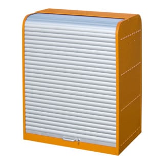 Bauer Südlohn armoire à volets roulants pour matières dangereuses RSG-2, vernis