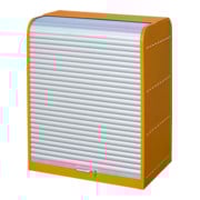 Bauer Südlohn armoire à volets roulants pour matières dangereuses RSG-4, vernis