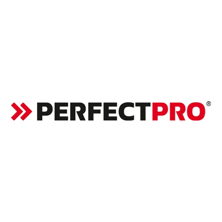Baustellenradio Soloworker 3,7 V 230 V PERFECTPRO