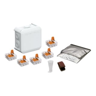BBC Cellpack Universalbox T40 WAGO/CG Feuchtigkeitsschutz CG