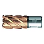 BDS Kernbohrer KBK HSS VP court 60/30mm