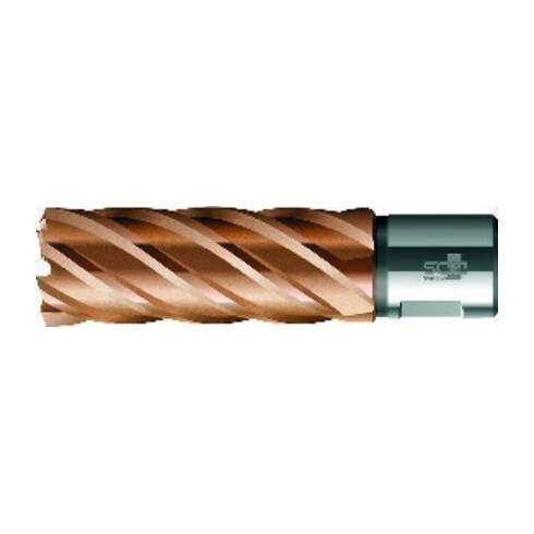 BDS Kernbohrer VARIOPlus lang KBI HSS Schaft Weldon 14/50mm