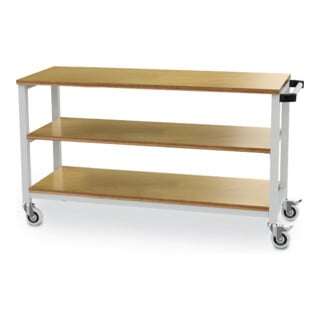 Bedrunka+Hirth Mobile Werkbank Tiefe 540 mm 2 x Fachboden