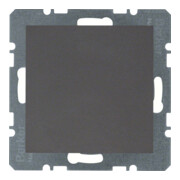 Berker Bouchon aveugle anthracite 10091606-1